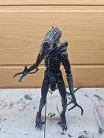 Alien warrior neca, Ophalen of Verzenden, Gebruikt, Film, Actiefiguur of Pop