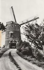 Lienden, molen de Zwaan. Gemeente Buren., Verzamelen, Ansichtkaarten | Nederland, Verzenden, 1960 tot 1980, Ongelopen, Gelderland