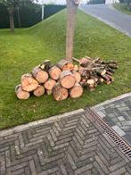 Haardhout, Tuin en Terras, Haardhout, Minder dan 3 m³, Ophalen, Overige houtsoorten, Stammen