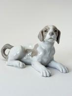 Schattig liggende Beagle van Lladro Nao - 17 cm breed, Verzamelen, Ophalen of Verzenden, Zo goed als nieuw, Dier