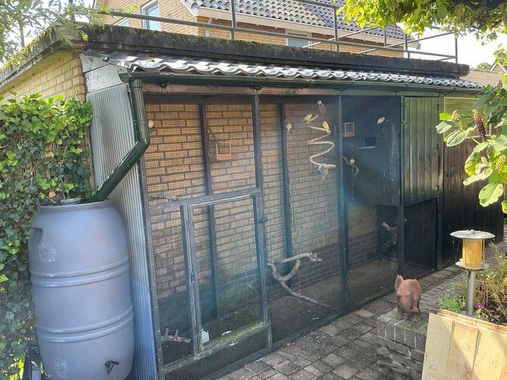 Te koop, Dieren en Toebehoren, Vogels | Hokken en Kooien, Gebruikt, Volière, Hout, Ophalen