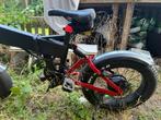 Elektrische fietsen, Ophalen of Verzenden, Zo goed als nieuw, 50 km per accu of meer, Overige merken