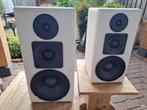 Zelfbouw luidspeakers, Audio, Tv en Foto, Luidsprekers, Gebruikt, Overige typen, 60 tot 120 watt, Ophalen