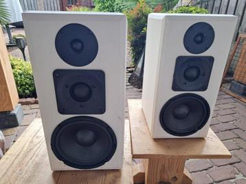 Zelfbouw luidspeakers met versterker ! beschikbaar voor biedingen