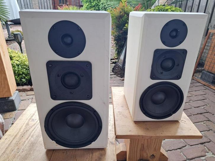 Zelfbouw luidspeakers met versterker !, Audio, Tv en Foto, Luidsprekers, Gebruikt, Overige typen, 60 tot 120 watt, Overige merken