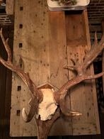 Echt hert gewij, Huis en Inrichting, Ophalen, Gebruikt