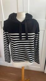10 days dweater xl, Ophalen of Verzenden, Nieuw, Maat 46/48 (XL) of groter