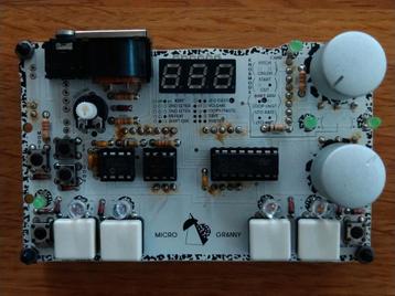 Standuino Micro Granny Granular sampler effects eurorack beschikbaar voor biedingen