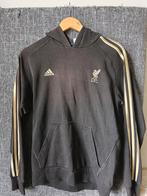 Trui Liverpool, Kleding | Heren, Ophalen of Verzenden, Gedragen, Rood, Voetbal