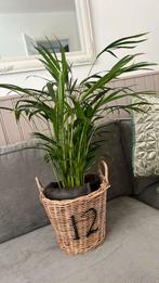 Riviera Maison mand, eventueel met plant, Ophalen of Verzenden