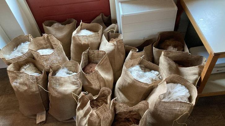 Goede kwaliteit alpaca vachten, Hobby en Vrije tijd, Spinnewielen en Spinnen, Nieuw, Spinwol, Ophalen