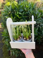 Kleine mand plantenbak van hout, Overige materialen, Binnen, Ophalen of Verzenden, Zo goed als nieuw