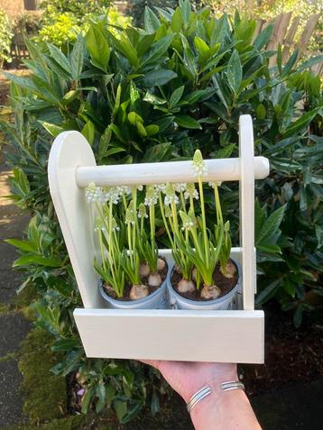 Kleine mand plantenbak van hout beschikbaar voor biedingen