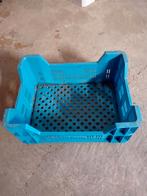 Witlof kistjes, Ophalen of Verzenden