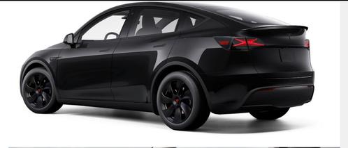 Tesla model 3/Y dynamische achterlichten, Auto-onderdelen, Verlichting, Nieuw, Ophalen of Verzenden
