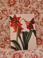 Ansichtkaart. "Amaryllis"., Verzenden, Nieuw