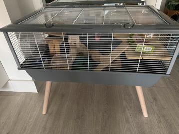  Mooie hamsterkooi met veel accessoires beschikbaar voor biedingen