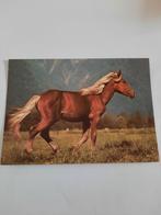 paard paarden kaart Popp, Ophalen, 1980 tot heden, Ongelopen, Paard