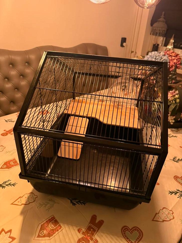 Hamsterkooi, Dieren en Toebehoren, Knaagdieren en Konijnen | Hokken en Kooien, Zo goed als nieuw, Kooi, Minder dan 60 cm, Minder dan 75 cm
