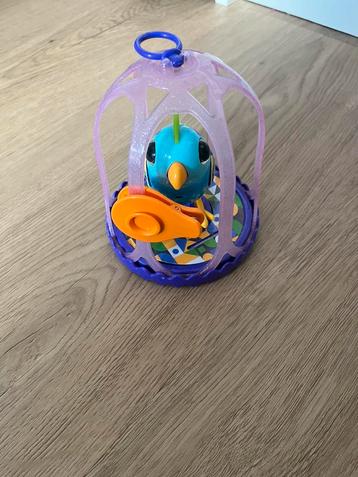 Digibirds hooded parrot beschikbaar voor biedingen