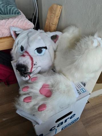 fursuit witte wolf hq  beschikbaar voor biedingen
