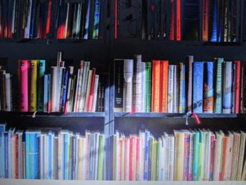 BOEKENKAST OPRUIMING : méér dan 100 BOEKEN á slechts 1 euro  beschikbaar voor biedingen