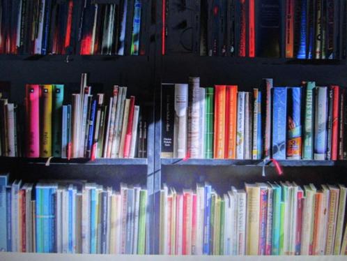 BOEKENKAST OPRUIMING : méér dan 100 BOEKEN á slechts 1 euro, Boeken, Romans, Zo goed als nieuw, Ophalen of Verzenden