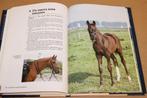 Paardenafrichting — Gedrag, Training, Ruiterhulpen, Boeken, Dieren en Huisdieren, Ophalen of Verzenden, Gelezen, Honden