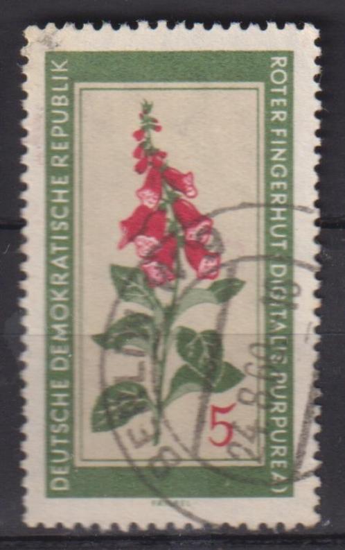 DDR Bloemen 3, Postzegels en Munten, Postzegels | Thematische zegels, Gestempeld, Dier of Natuur, Ophalen of Verzenden