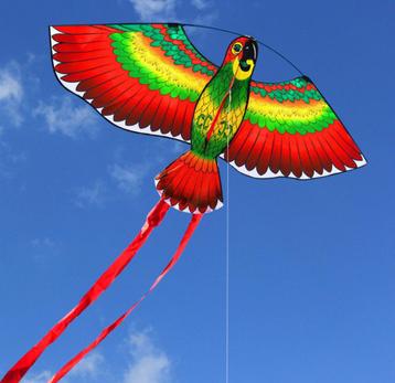 Papegaai vlieger vogel kinder kite lijn lijns eenlijns beschikbaar voor biedingen