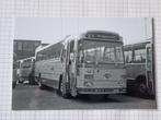 Foto BUS VAD Apeldoorn 2975, Verzamelen, Overige typen, Bus of Metro, Gebruikt, Verzenden