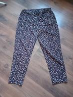 Pescara panterprint broek XXL, Zwart, Maat 46/48 (XL) of groter, Pescara, Ophalen of Verzenden