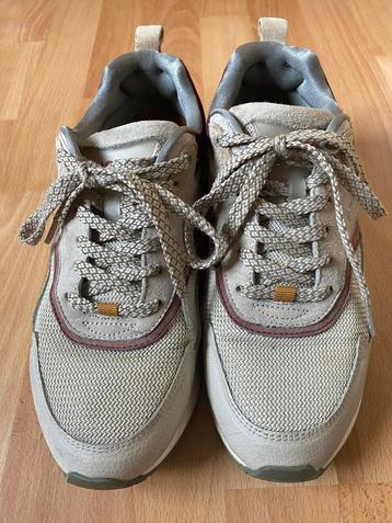 Hoff Sneakers Dames Maat 40 beschikbaar voor biedingen