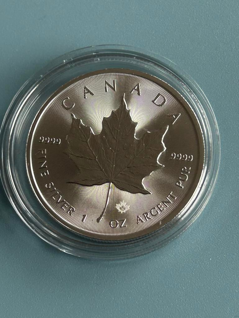 Maple leaf 2026 in capsule. 1 OZ .999 zilver, Ophalen of Verzenden, Zilver