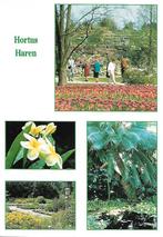 Haren- -4-luik., Verzenden, 1960 tot 1980, Gelopen, Groningen