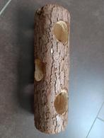 Houten hamstertunnel 20cm, Dieren en Toebehoren, Knaagdieren en Konijnen | Toebehoren, Ophalen