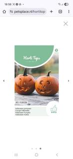 Zaden halloween pompoen eigen oogst, Tuin en Terras, Ophalen of Verzenden, Volle zon