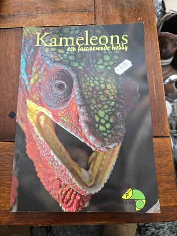 Boekje over het houden van kameleons beschikbaar voor biedingen