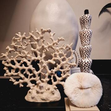 Beige kleurig faux koraal op zwarte voet vakkenkast chique  beschikbaar voor biedingen