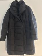Esprit Dons Damesjas Maat 44, Kleding | Dames, Jassen | Winter, Zwart, Maat 42/44 (L), Ophalen of Verzenden, Zo goed als nieuw