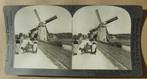 Keystone Stereoview:Hondekar op dijkweg, molen omg Dordrecht, Ophalen of Verzenden