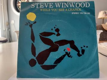 7" Single Steve Winwood - While You See A Chance / Vacant Ch beschikbaar voor biedingen