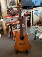 Super mooie Gitaar semi akoestische Epiphone USA 1998, Ophalen, Gebruikt, Hollow body, Epiphone