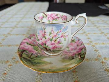 Royal Albert Blossom Time Kop en Schotel beschikbaar voor biedingen