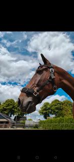 Kaptoom Full, Ophalen of Verzenden