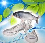 Adidas superstar, Kleding | Dames, Schoenen, Adidas, Ophalen of Verzenden, Rood, Sneakers of Gympen