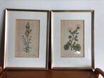 2 oude lijstjes met bloemenprent, Ophalen of Verzenden
