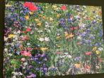 Canvas wanddecoratie, Ophalen of Verzenden