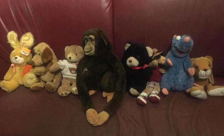 Knuffeldier beer, hond, konijn, Chimpansee aap, Kinderen en Baby's, Speelgoed | Knuffels en Pluche, Zo goed als nieuw, Overige typen