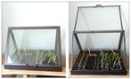 Kas, kweekkas. Meerdere voorradig NIEUW, Tuin en Terras, Kassen, Ophalen of Verzenden, Glas, Nieuw
